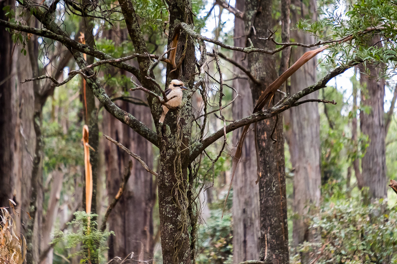 Constituency Question | Neighbourhood Batteries  Main Image
